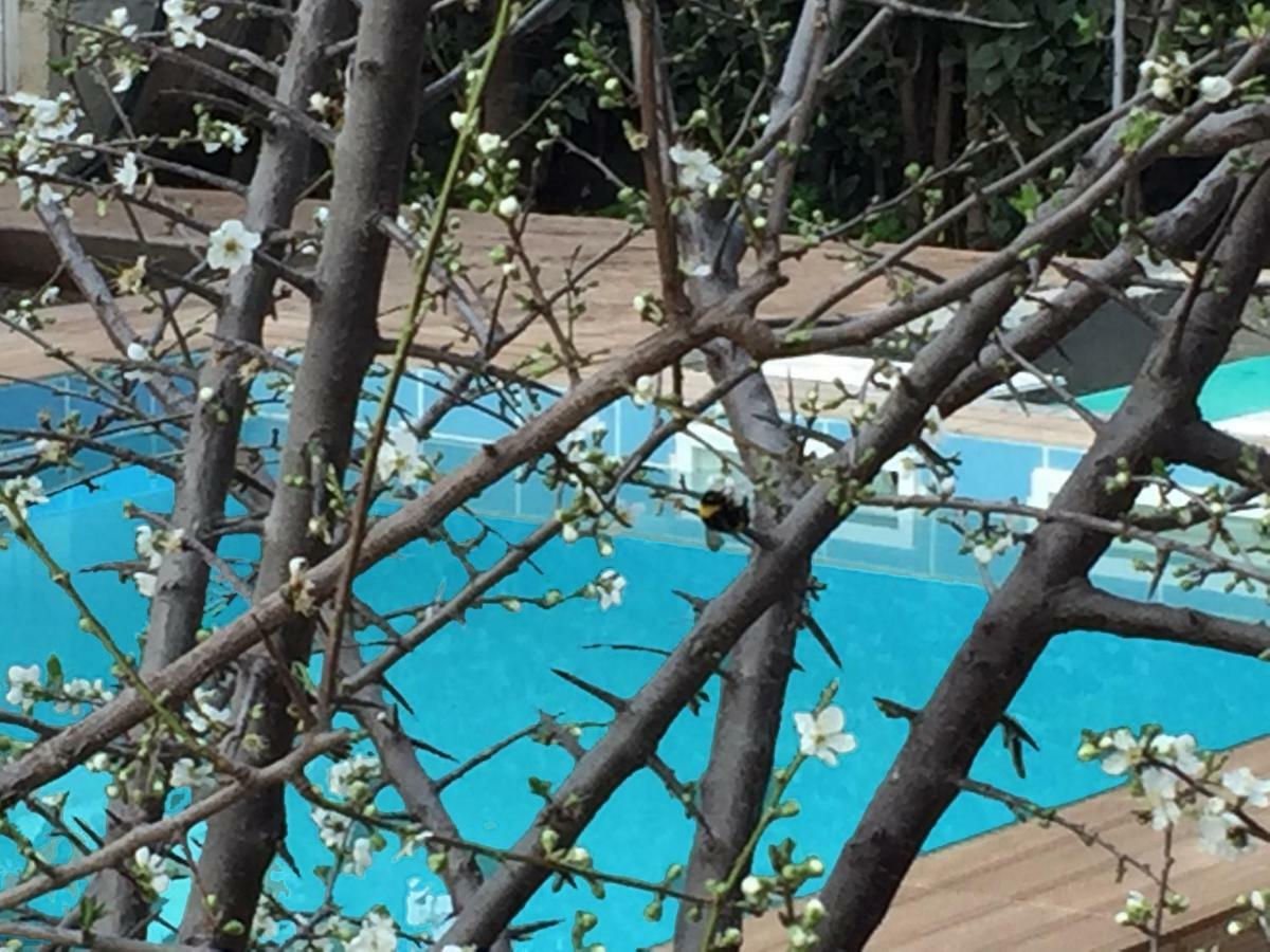 Sunny Rhodes Villa Koskinou  외부 사진