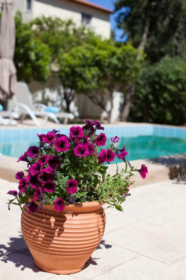 Sunny Rhodes Villa Koskinou  외부 사진